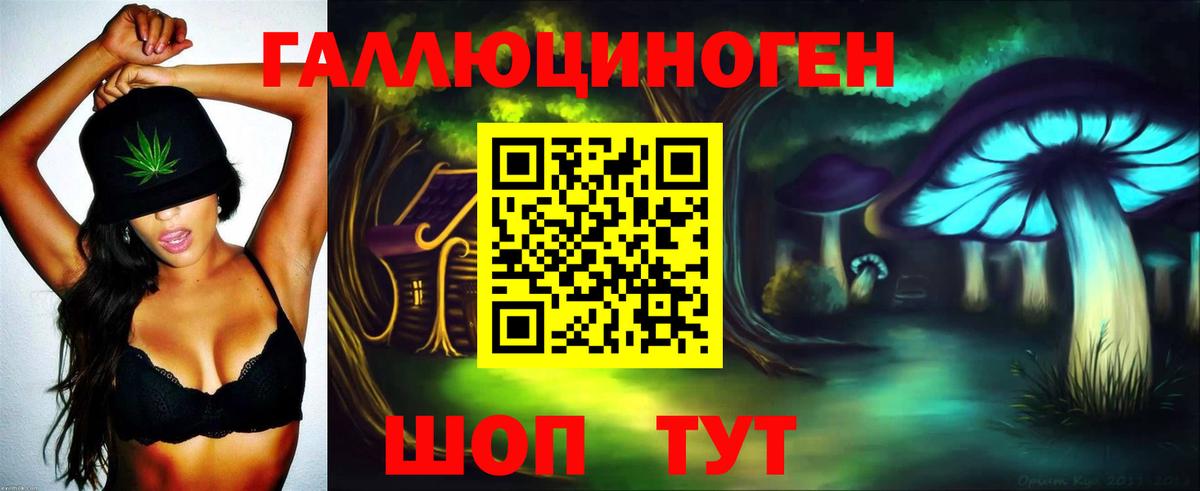 Галлюциногенные грибы мухоморы Ессентуки