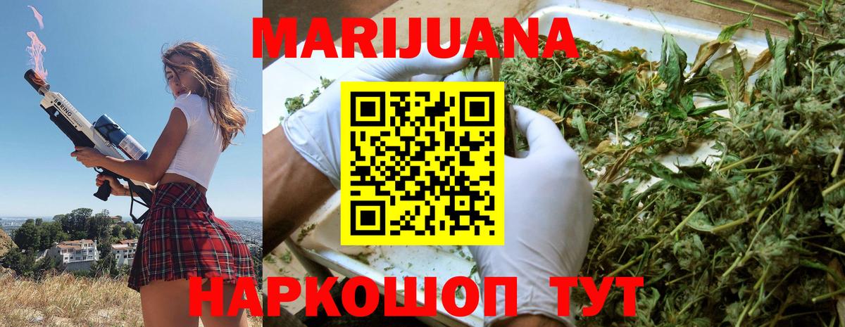 Каннабис план  Конопля ГИДРОПОН  Вход с VPN  Ессентуки  Бошки марихуана THC 21% 